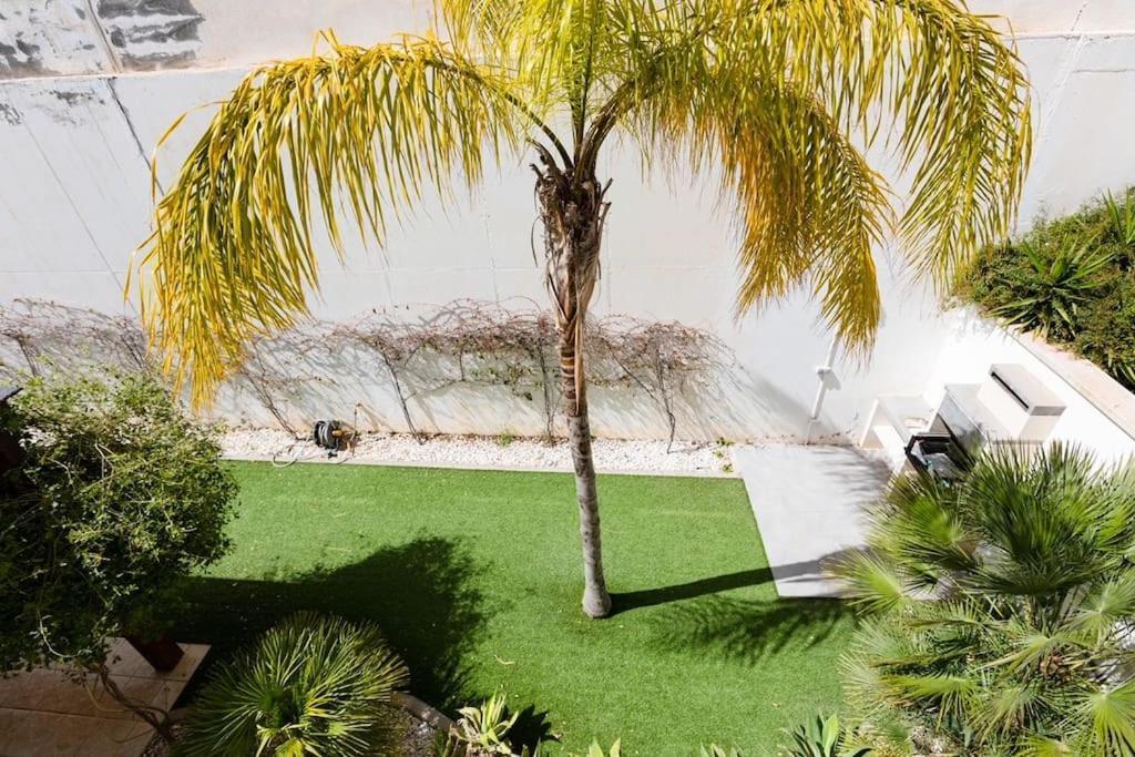 Villa Joya II San José Exterior photo
